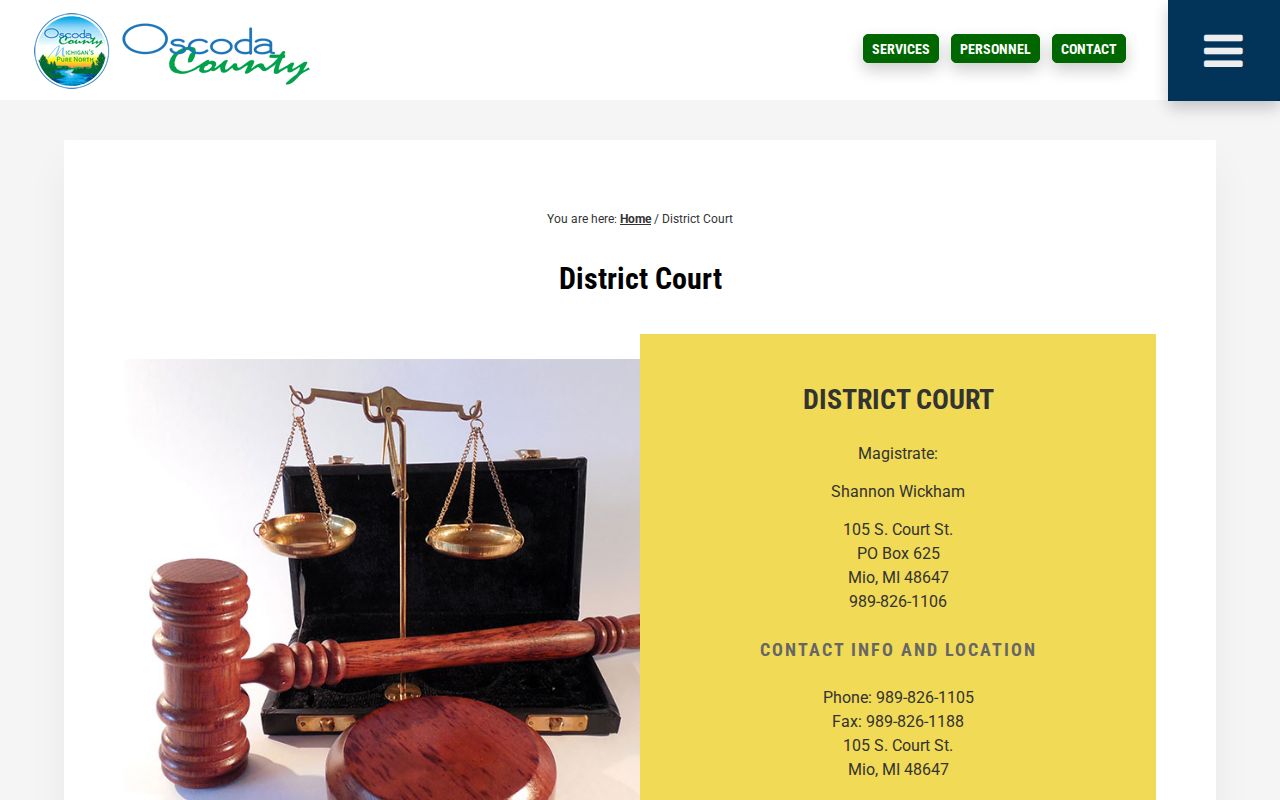 Oscoda County court docket information for the 81st District Court